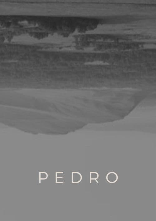 Pedroのポスター