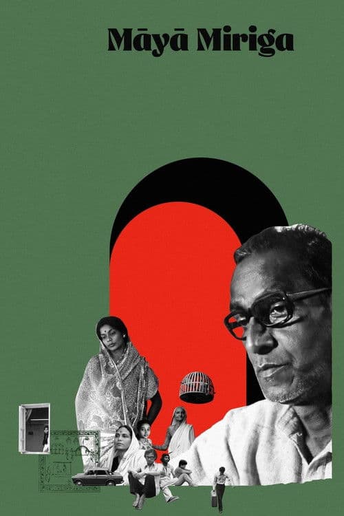 ମାୟା ମିରିଗのポスター