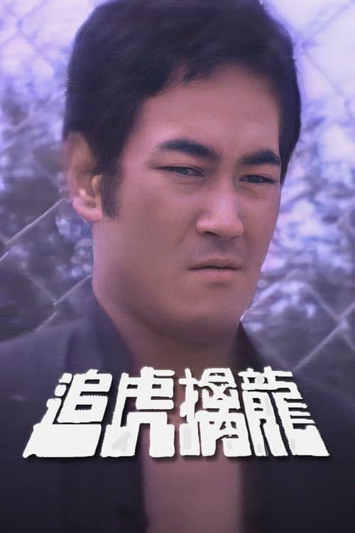 追虎擒龍のポスター
