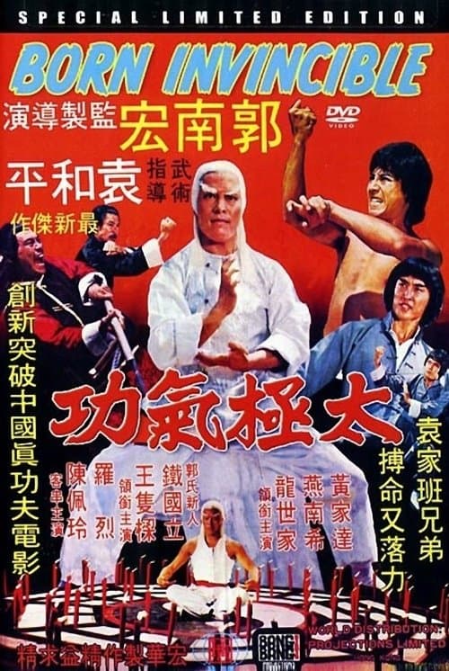 ドラゴン太極拳のポスター