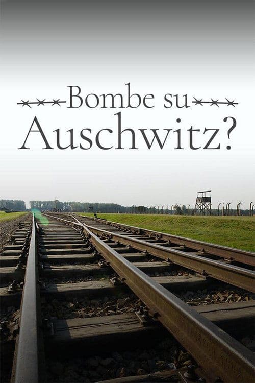 Bombe su Auschwitz?のポスター