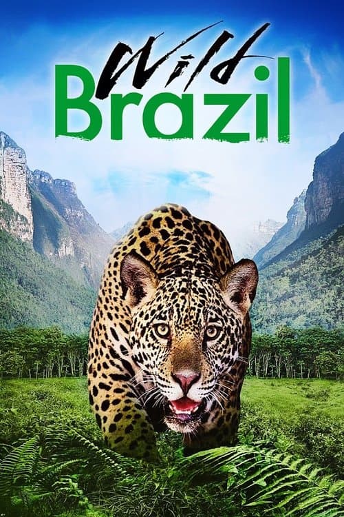Wild Brazilのポスター