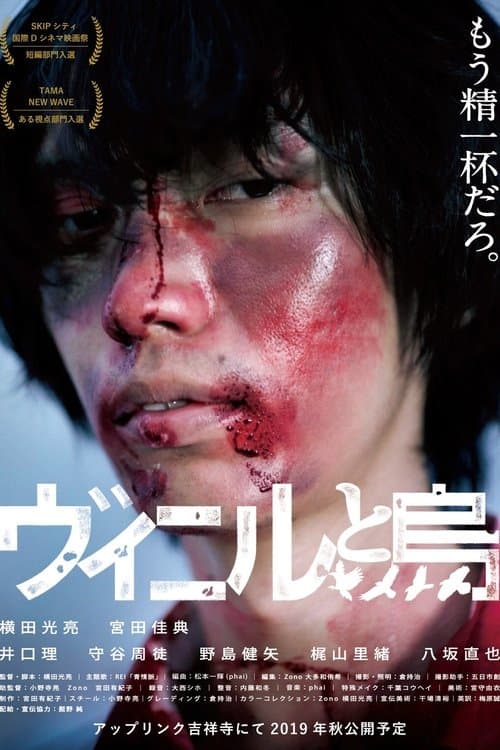 ヴィニルと烏のポスター