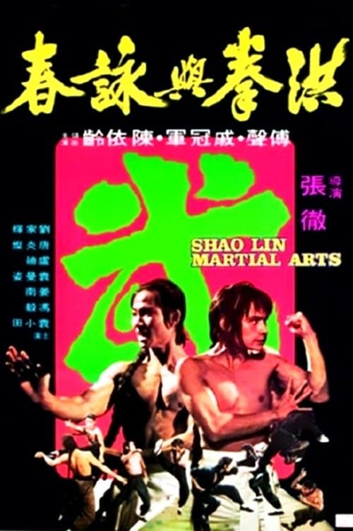 洪拳與詠春のポスター