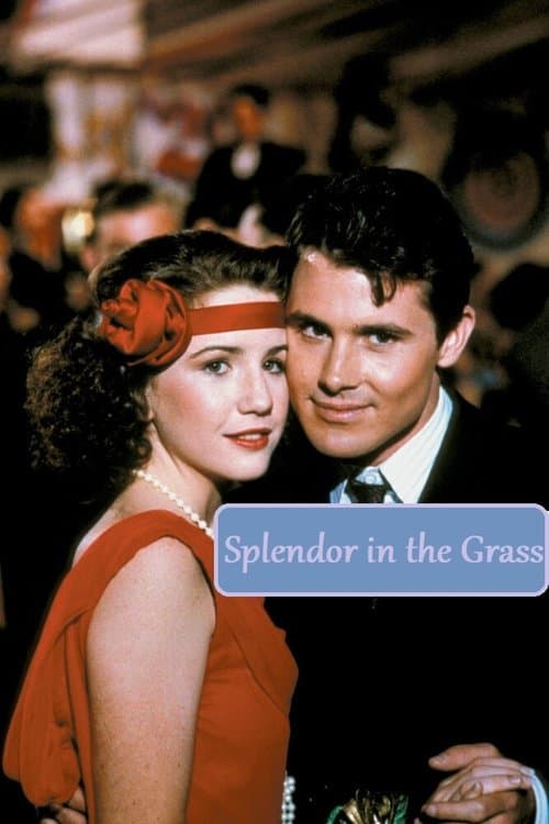 Splendor in the Grassのポスター