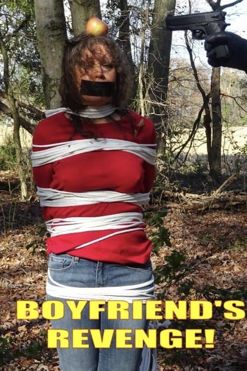 Boyfriend's Revengeのポスター