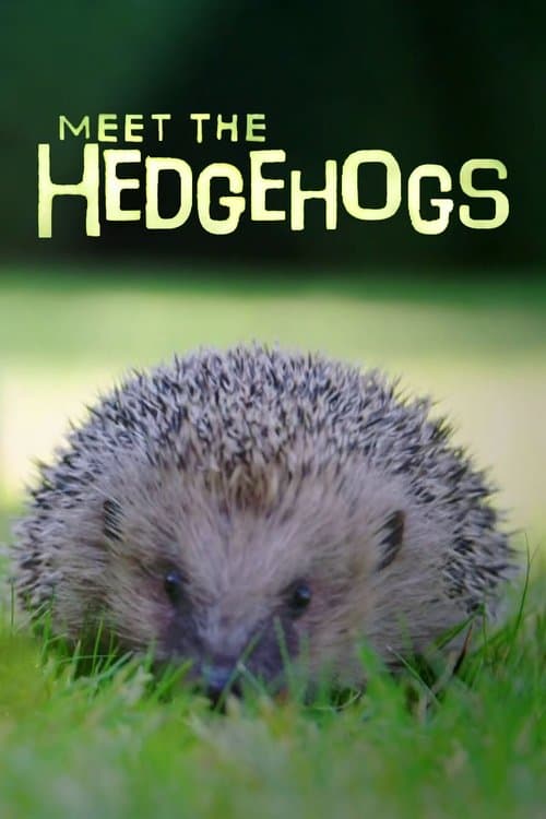Meet the Hedgehogsのポスター