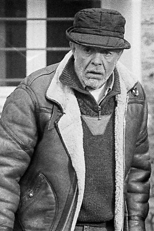 Le corbeauのポスター