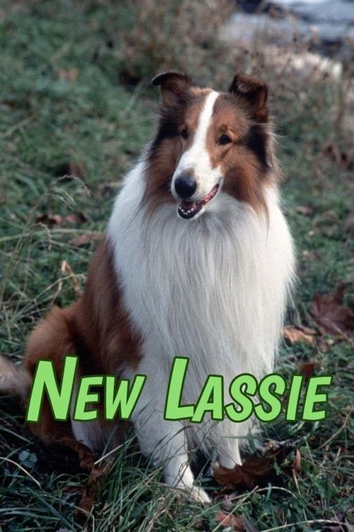 The New Lassieのポスター