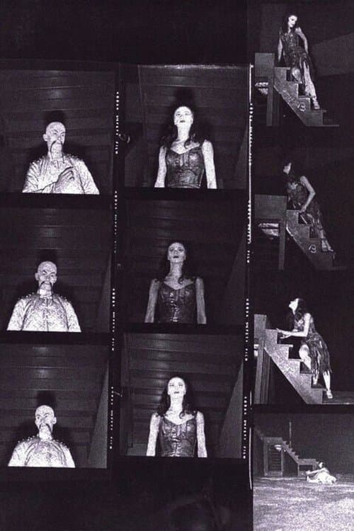 Csodálatos mandarinのポスター