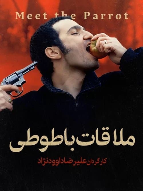ملاقات با طوطیのポスター