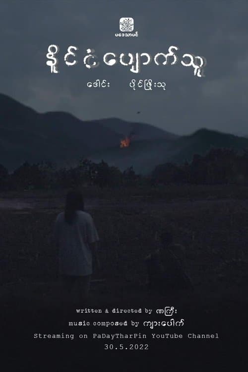 နိုင်ငံပျောက်သူのポスター