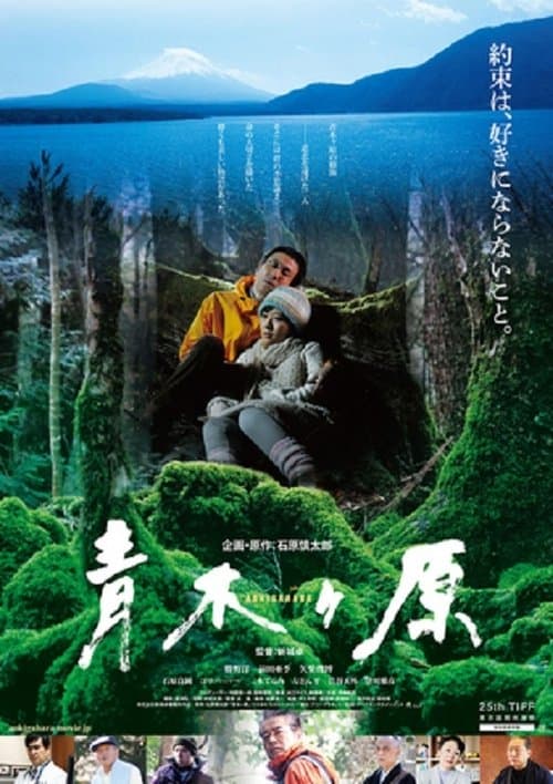 青木ヶ原のポスター