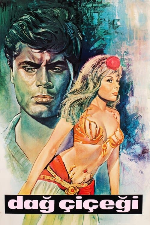 Dağ Çiçeğiのポスター