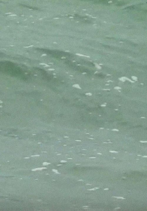 Cape Codのポスター