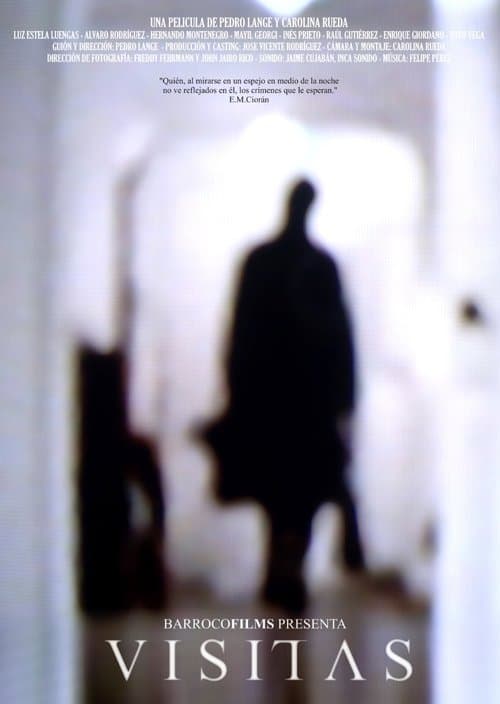 Visitasのポスター