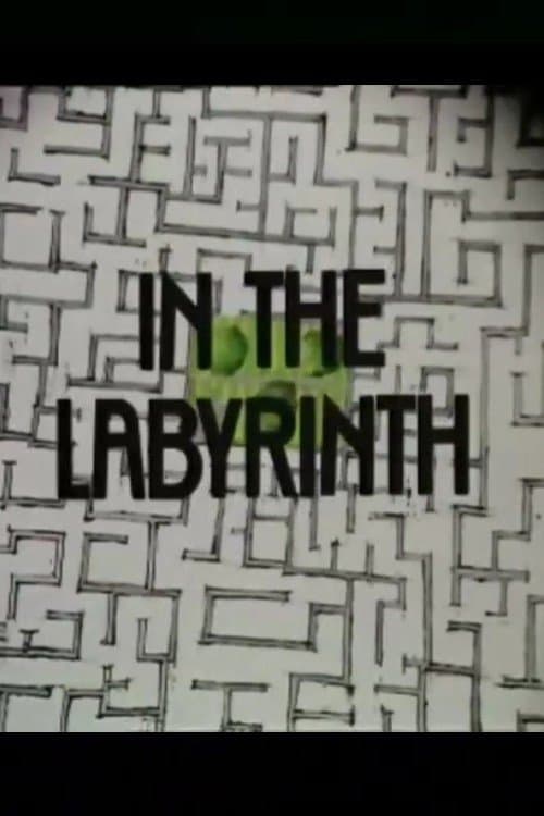 In the Labyrinthのポスター