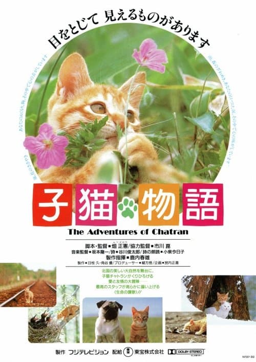子猫物語のポスター