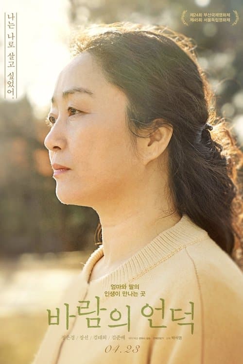 바람의 언덕のポスター