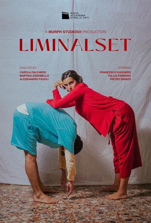 Liminalsetのポスター