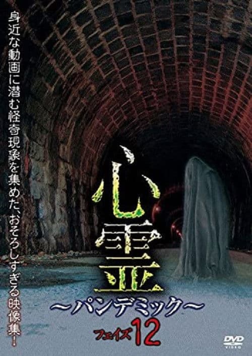 心霊 ~パンデミック~ フェイズ12のポスター