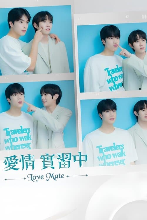 爱情伴侣：电影版のポスター