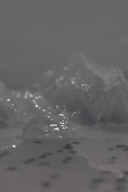 Stella 50.4N1.5Eのポスター