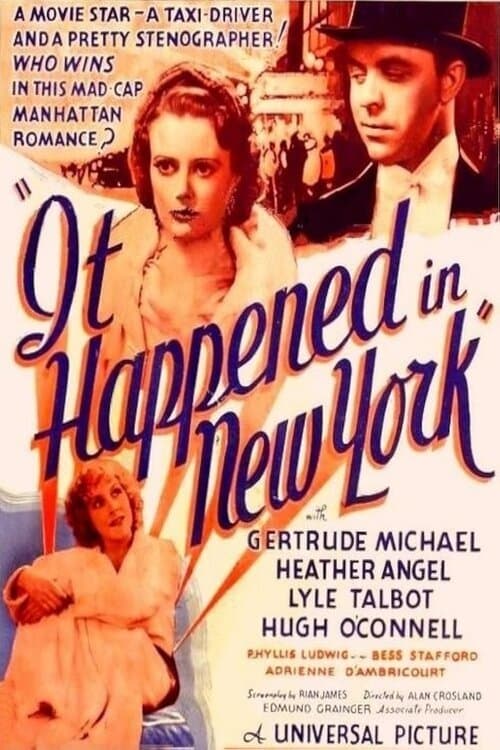 It Happened in New Yorkのポスター