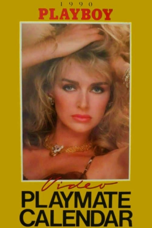 Playboy Video Playmate Calendar 1990のポスター
