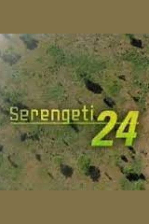Serengeti 24のポスター