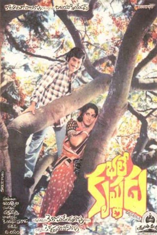 భలే కృష్ణుడుのポスター