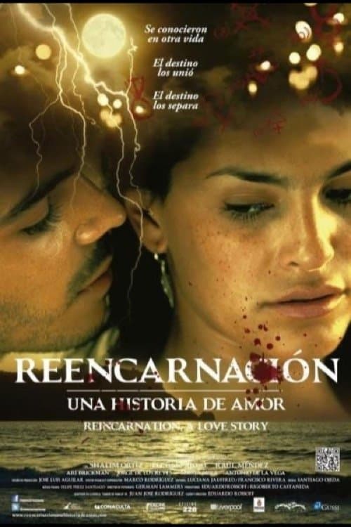 Reencarnación, Una historia de amorのポスター