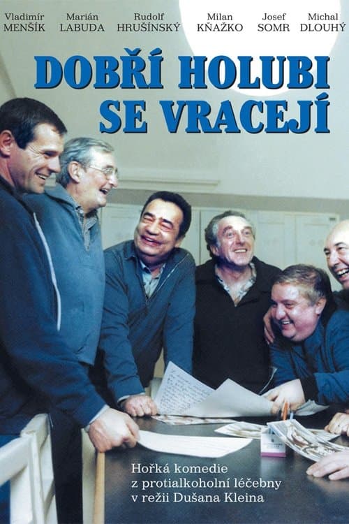 Dobří holubi se vracejíのポスター