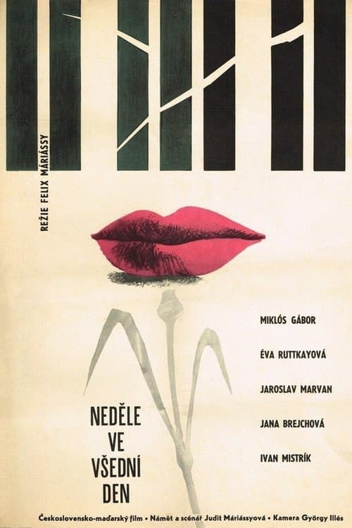 Pirosbetűs hétköznapokのポスター