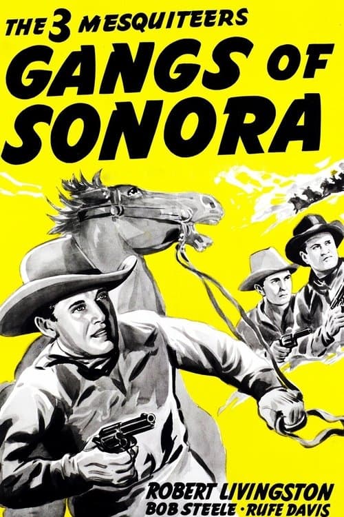 Gangs of Sonoraのポスター