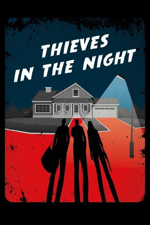 Thieves in the Nightのポスター