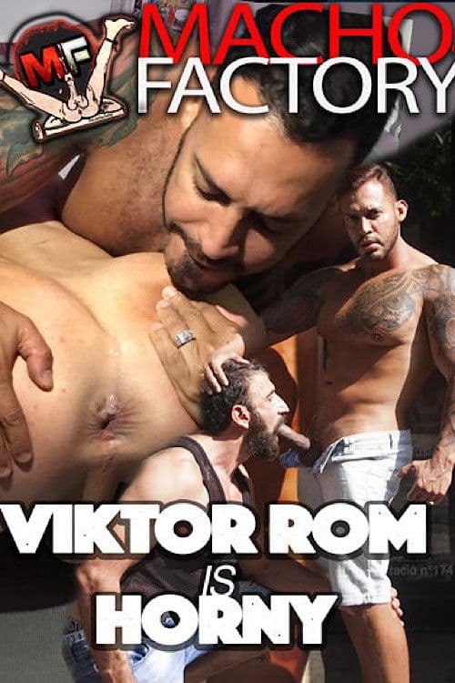 Viktor Rom Is Hornyのポスター