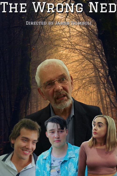 The Wrong Nedのポスター
