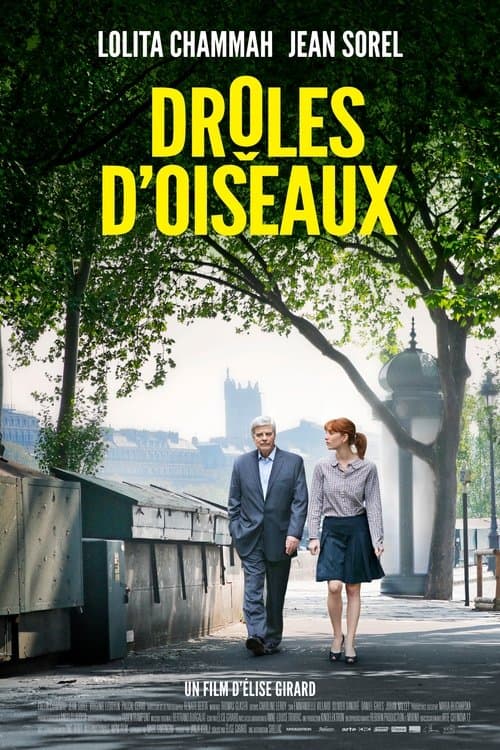 Drôles d'oiseauxのポスター