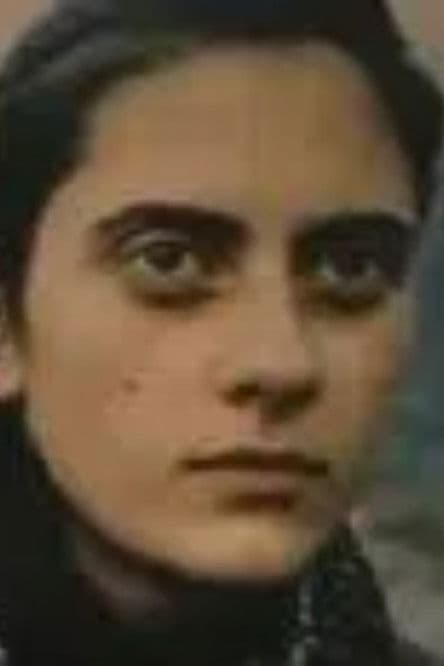 სტუმარიのポスター