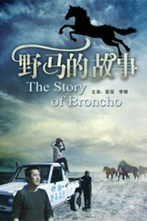 野马的故事のポスター