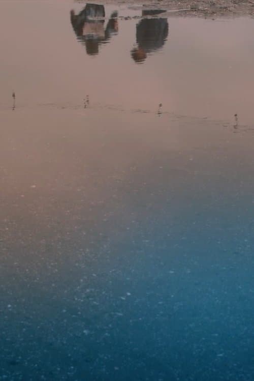 あいつをよろしくのポスター