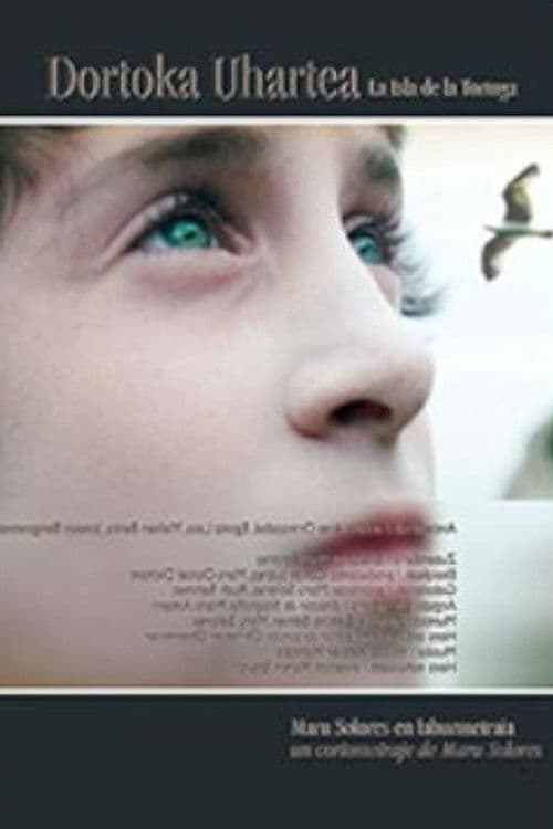 Insel der Schildkröteのポスター