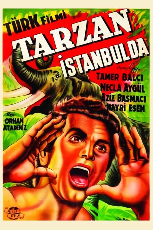 Tarzan İstanbul'daのポスター