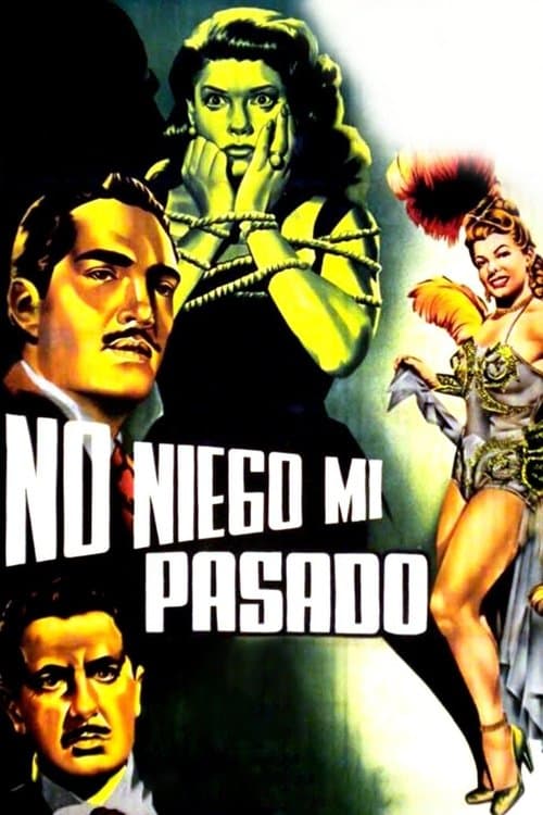 No niego mi pasadoのポスター