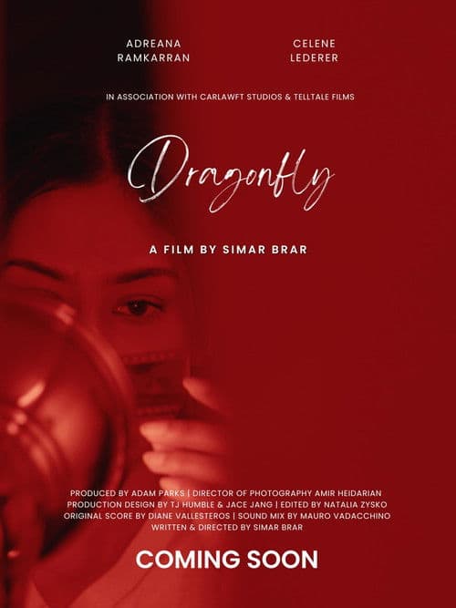 Dragonflyのポスター