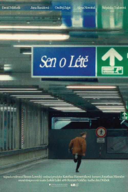 Sen o Létěのポスター