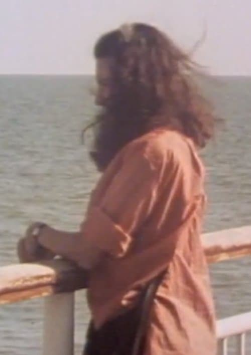 Angel in the Houseのポスター