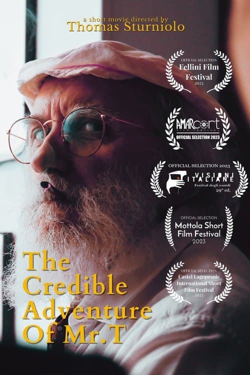 The Credible Adventures of Mr. Tのポスター