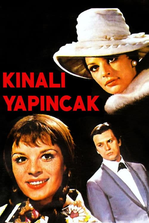 Kınalı Yapıncakのポスター